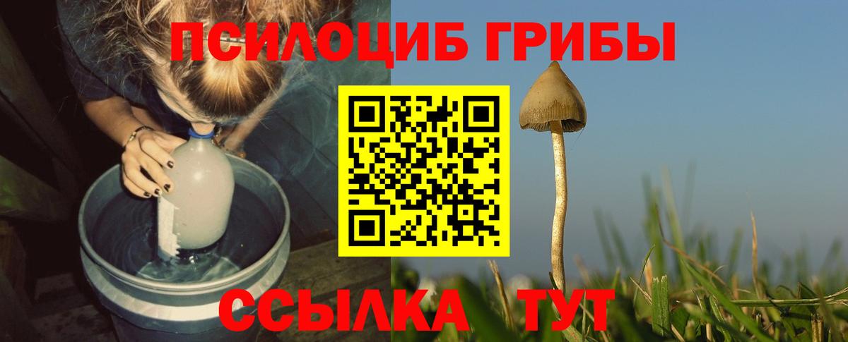 Азнакаево  Галлюциногенные грибы Cubensis  Вход с VPN 